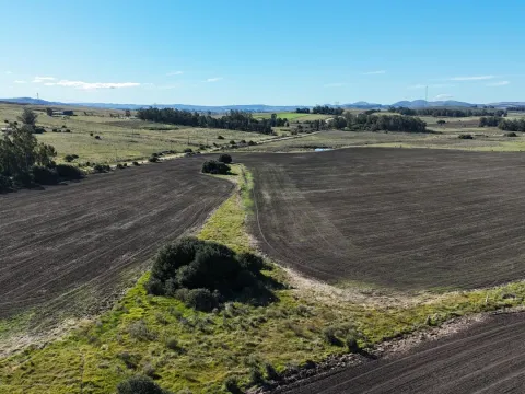 Campo de 17 ha en venta puntas de Laguna del Sauce — foto 5
