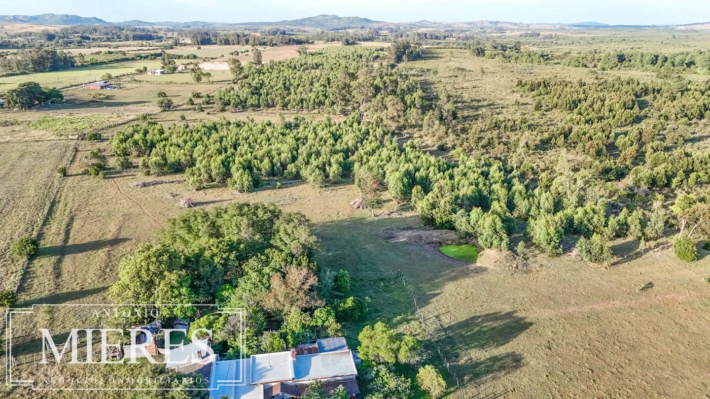 Chacra de 18ha con casa frente a Ruta 9 Pan de Azucar — foto 3