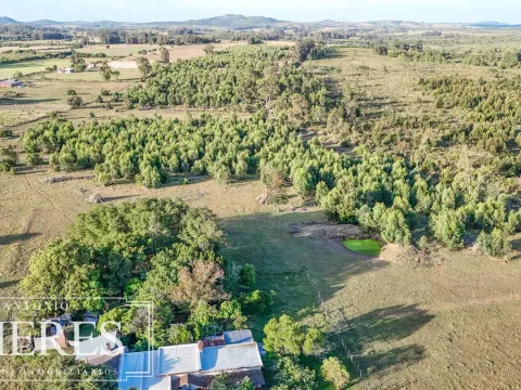 Chacra de 18ha con casa frente a Ruta 9 Pan de Azucar — foto 3