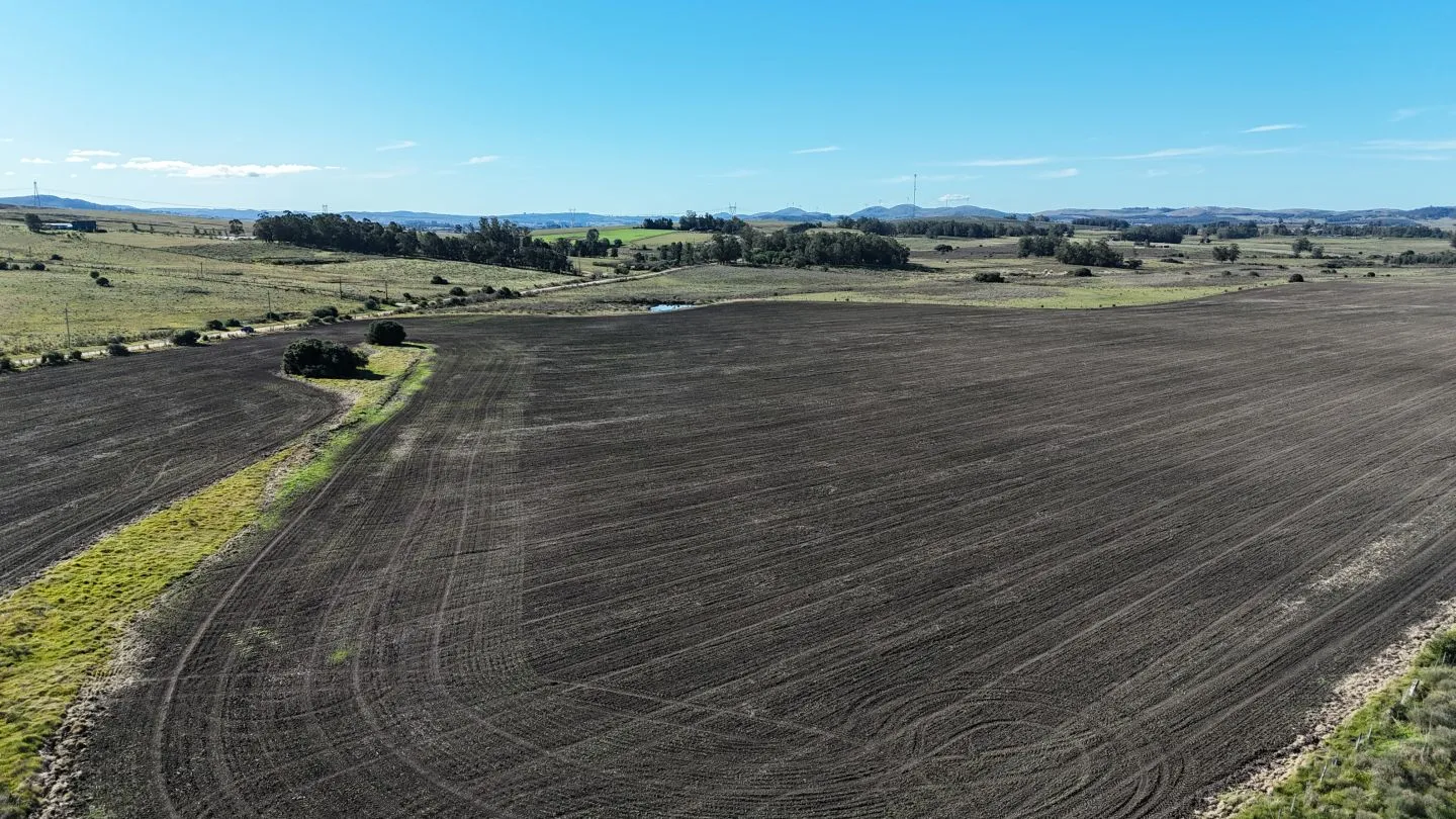 Campo de 17 ha en venta puntas de Laguna del Sauce — foto 6