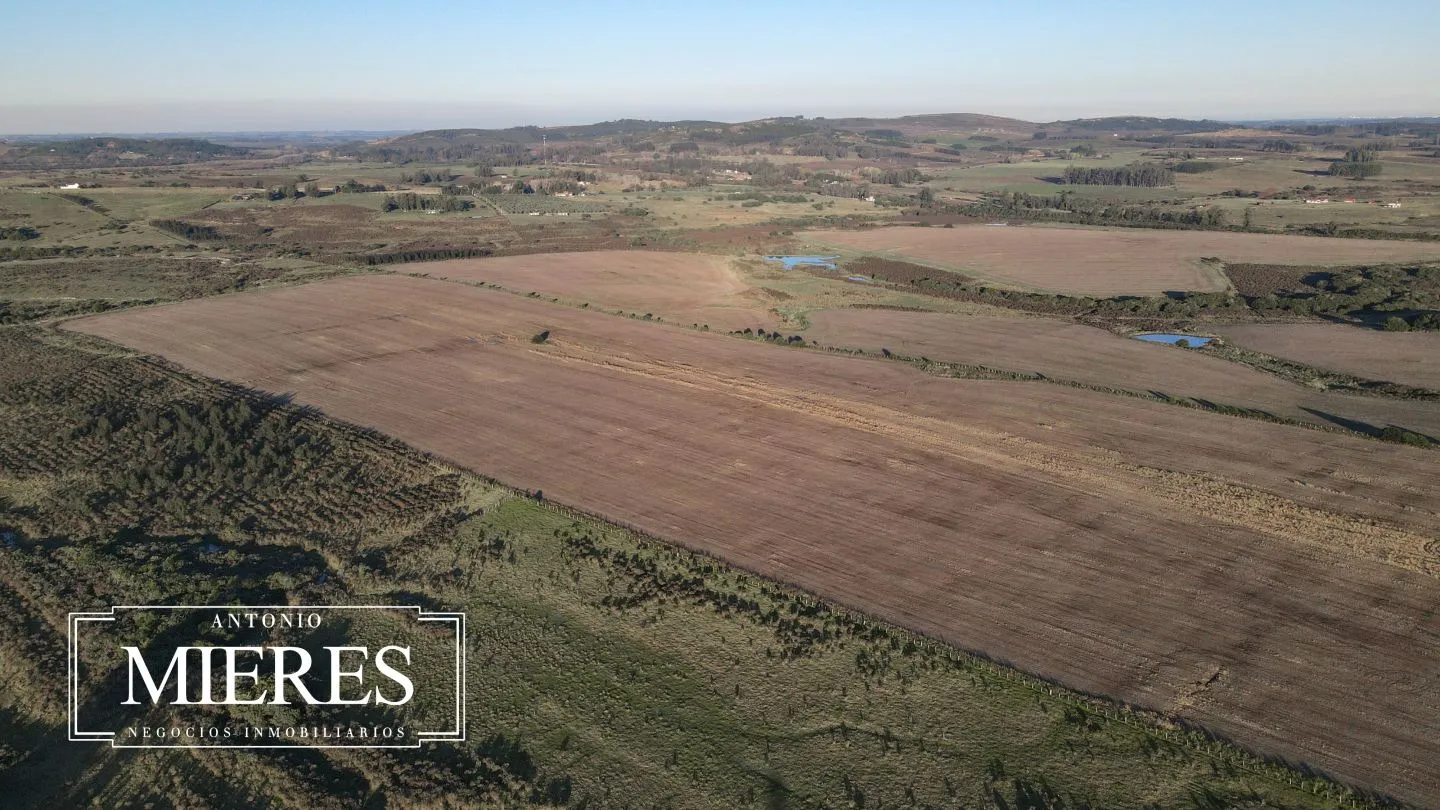 Venta de campo 50 ha en puntas de Laguna del Sauce — foto 13