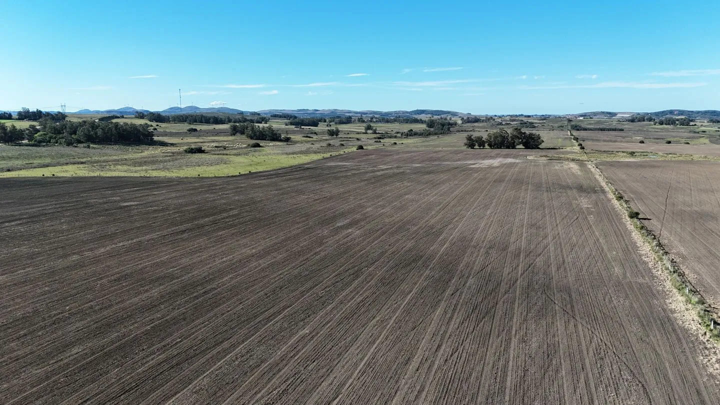 Campo de 17 ha en venta puntas de Laguna del Sauce — foto 7