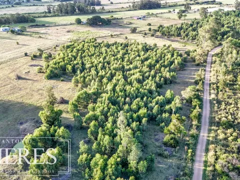 Chacra de 18ha con casa frente a Ruta 9 Pan de Azucar — foto 5