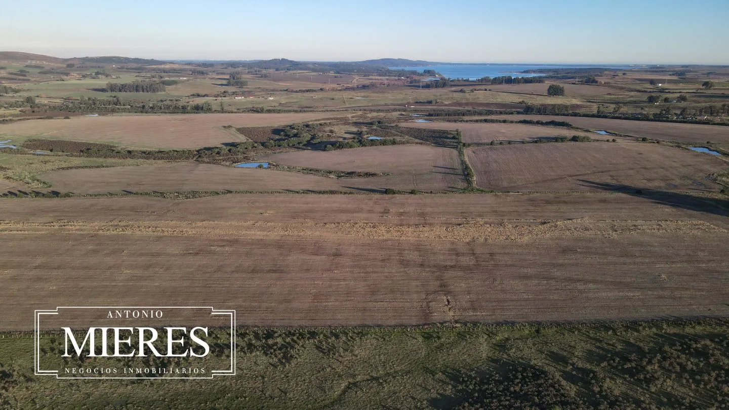Venta de campo 50 ha en puntas de Laguna del Sauce — foto 14
