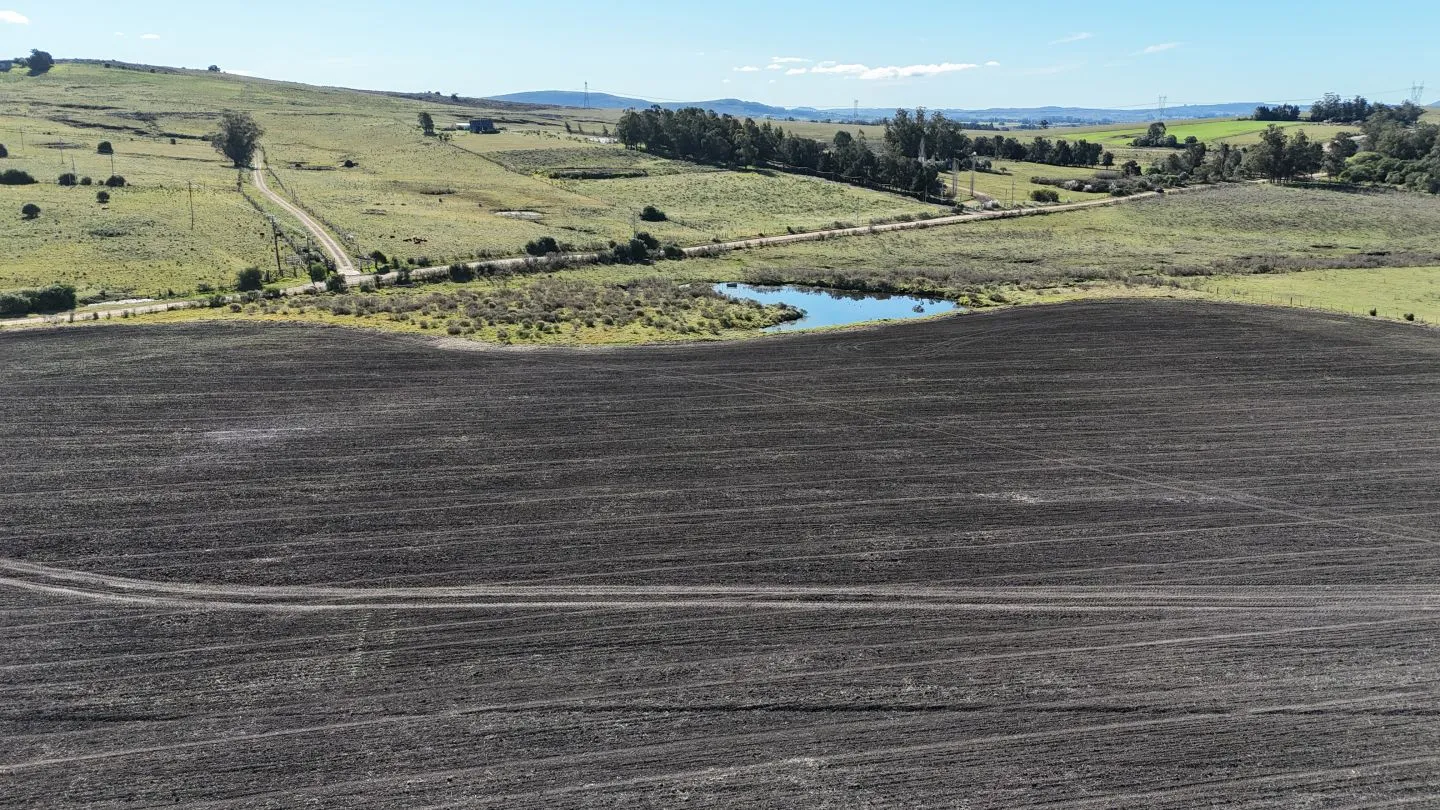 Campo de 17 ha en venta puntas de Laguna del Sauce — foto 8