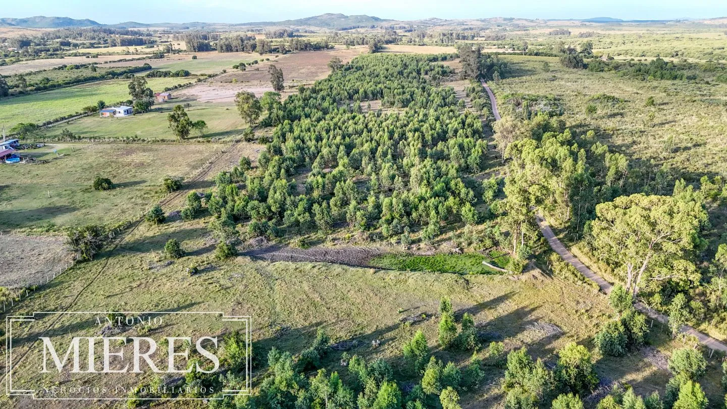 Chacra de 18ha con casa frente a Ruta 9 Pan de Azucar — foto 6