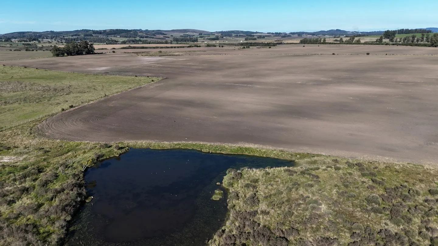 Campo de 17 ha en venta puntas de Laguna del Sauce — foto 9
