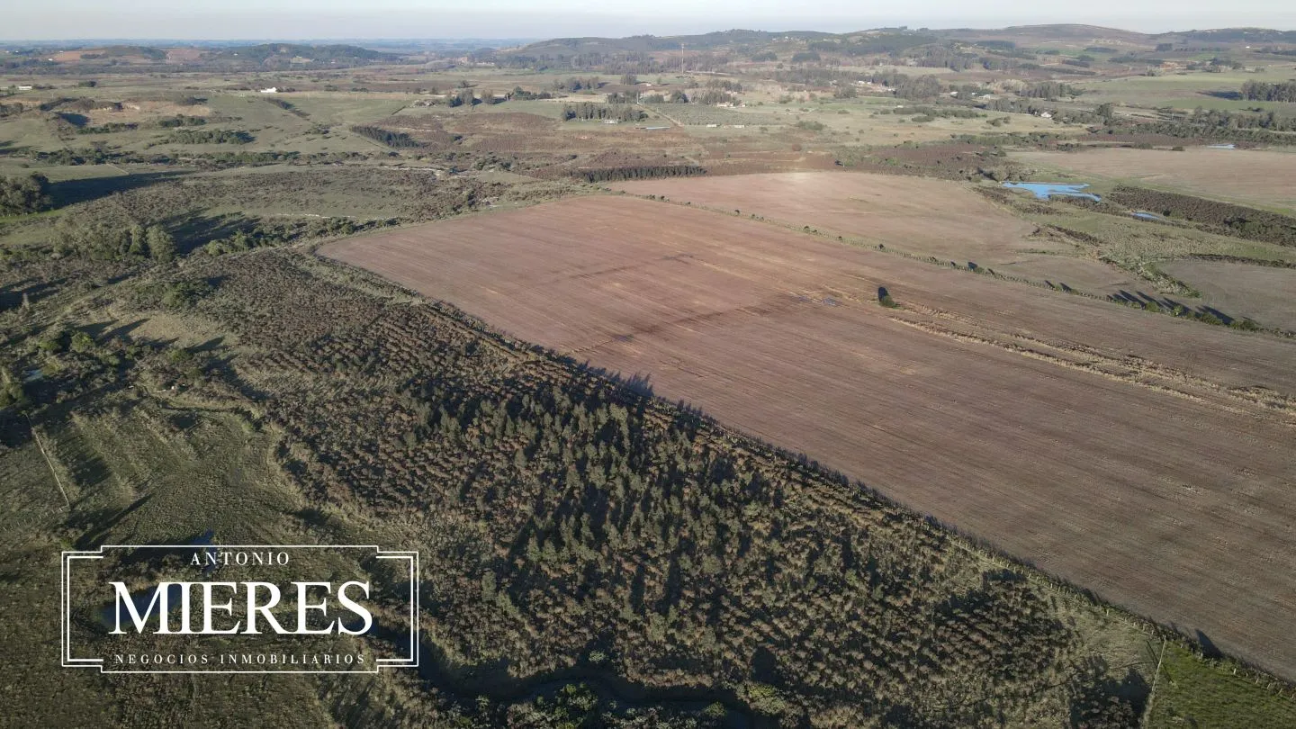 Venta de campo 50 ha en puntas de Laguna del Sauce — foto 15
