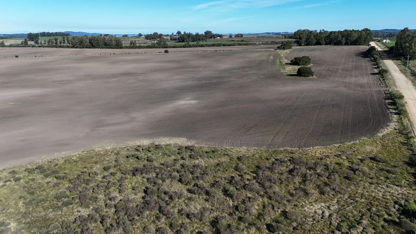 Campo de 17 ha en venta puntas de Laguna del Sauce — foto 10