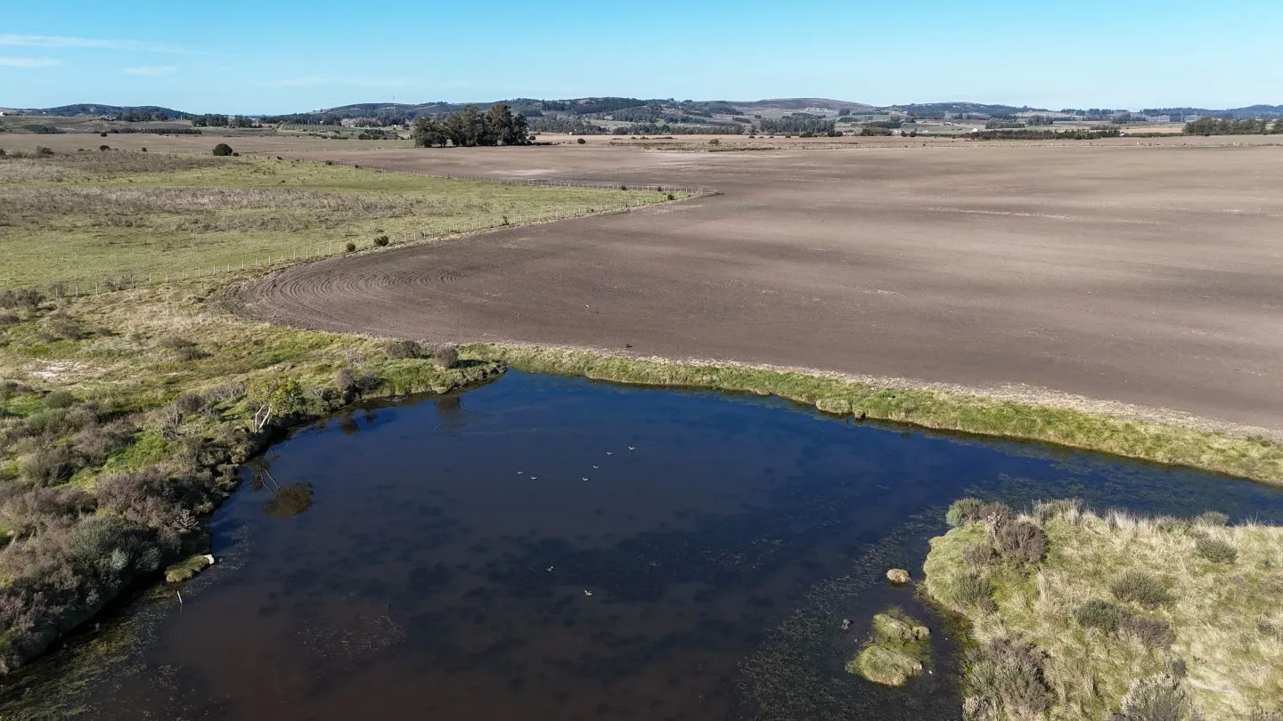 Campo de 17 ha en venta puntas de Laguna del Sauce — foto 11
