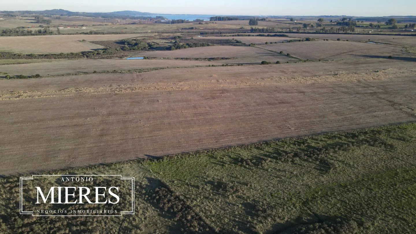 Venta de campo 50 ha en puntas de Laguna del Sauce — foto 17