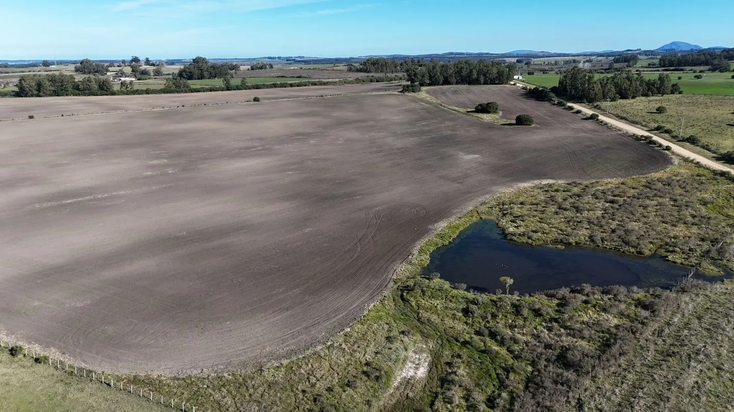 Campo de 17 ha en venta puntas de Laguna del Sauce — foto 12