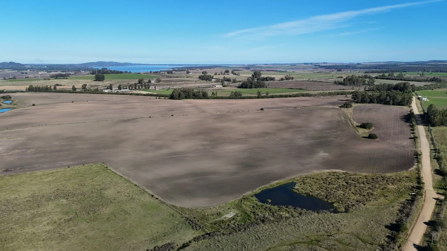 Campo de 17 ha en venta puntas de Laguna del Sauce — foto 13