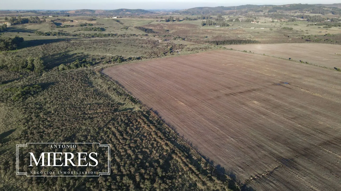 Venta de campo 50 ha en puntas de Laguna del Sauce — foto 18