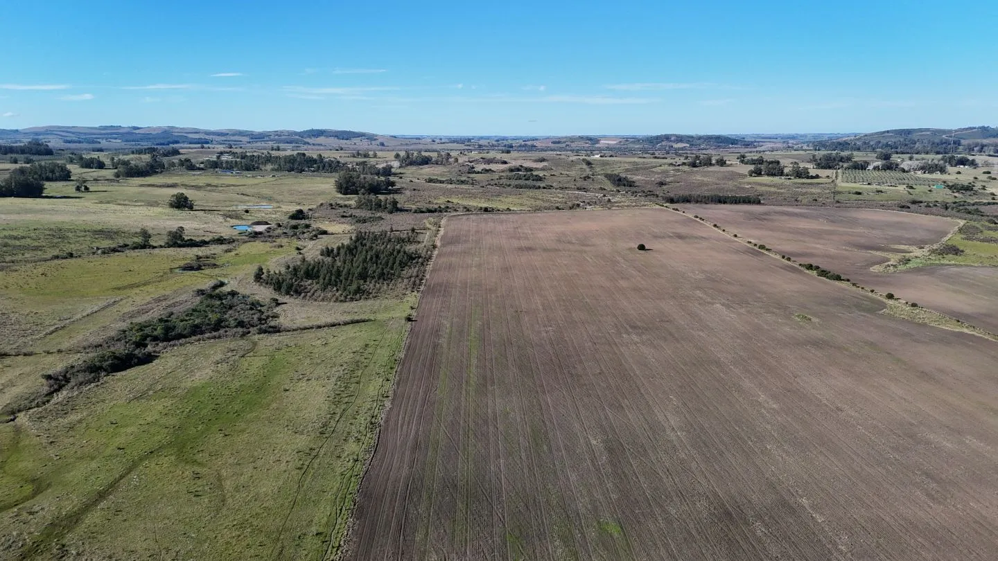 Campo de 17 ha en venta puntas de Laguna del Sauce — foto 14