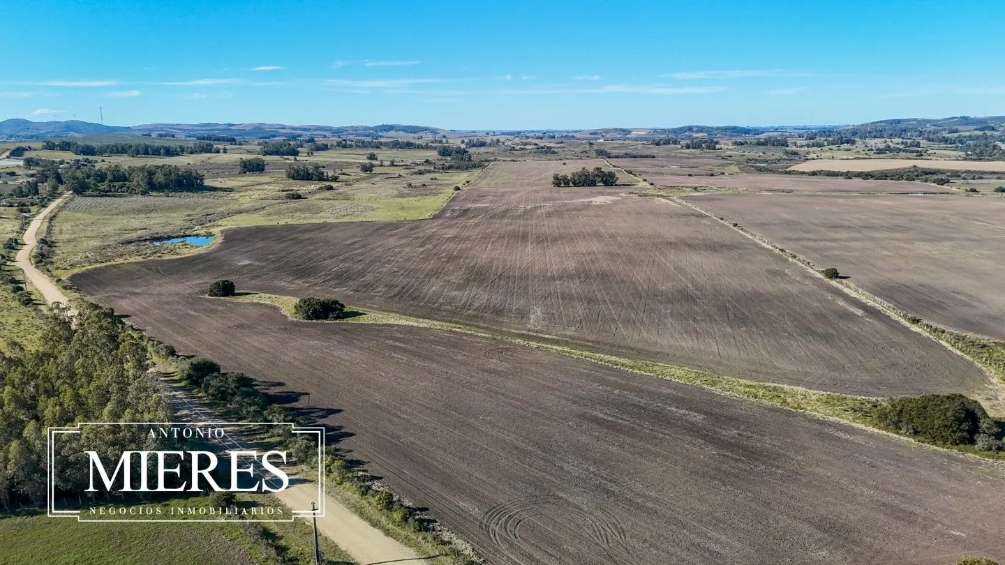 Venta de campo 50 ha en puntas de Laguna del Sauce — foto 19