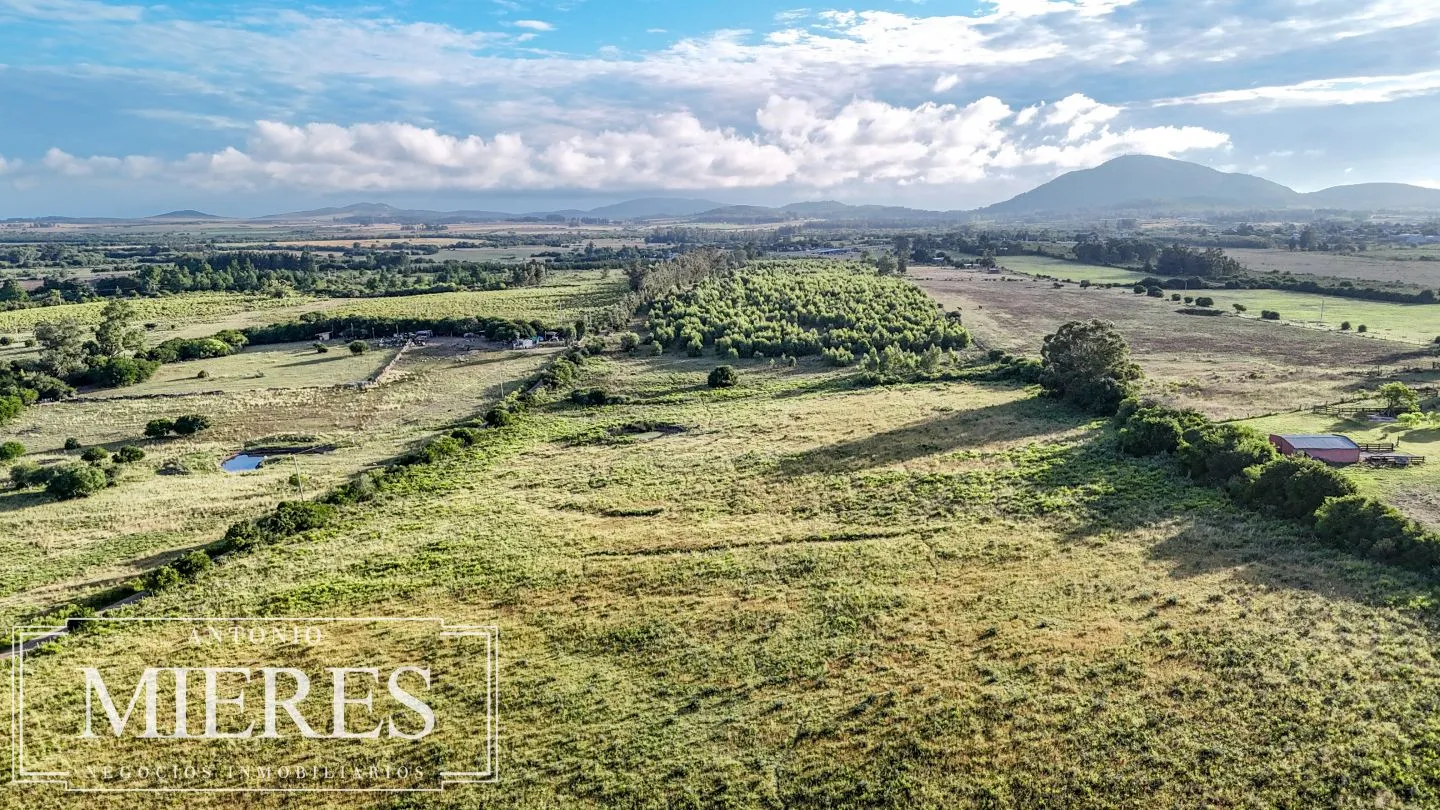 Chacra de 18ha con casa frente a Ruta 9 Pan de Azucar — foto 10