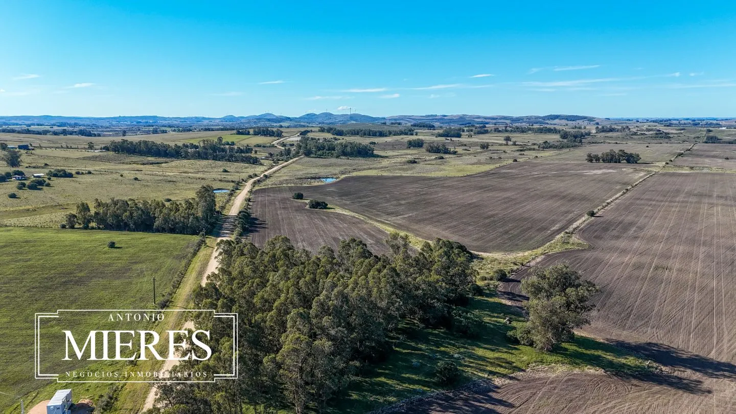 Venta de campo 50 ha en puntas de Laguna del Sauce — foto 20