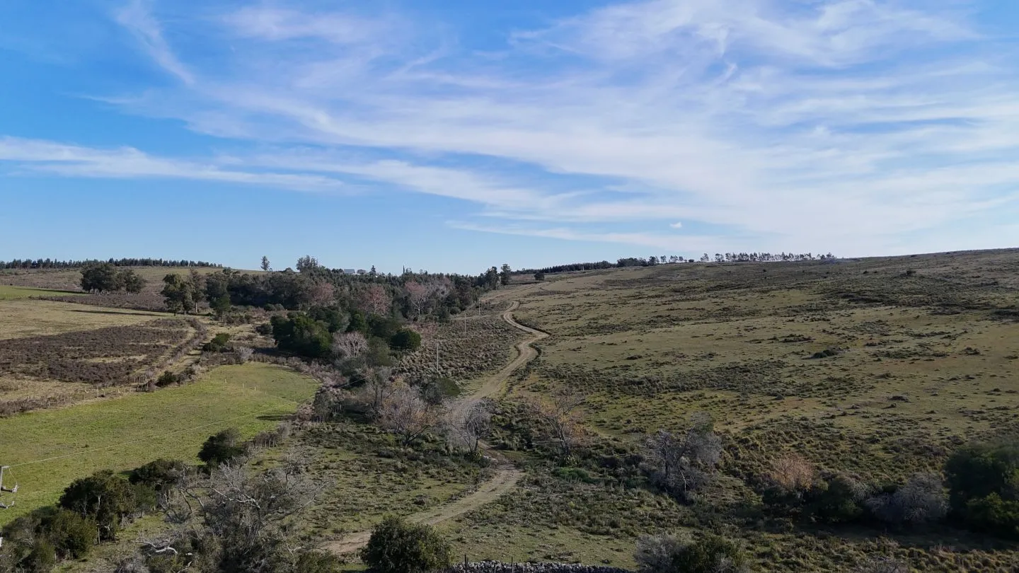 Campo de 36 ha en venta con casa y arroyo, Maldonado Uruguay. — foto 3