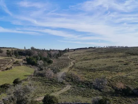Campo de 36 ha en venta con casa y arroyo, Maldonado Uruguay. — foto 3