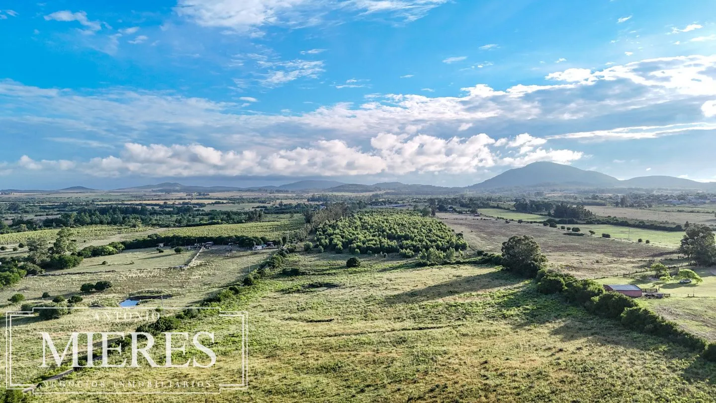 Chacra de 18ha con casa frente a Ruta 9 Pan de Azucar — foto 11