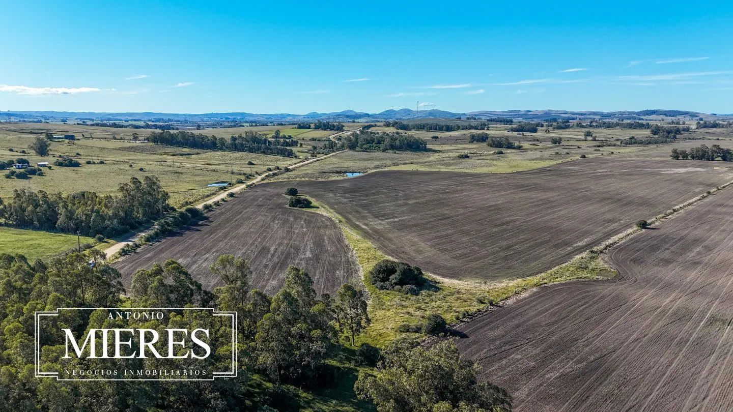 Venta de campo 50 ha en puntas de Laguna del Sauce — foto 21