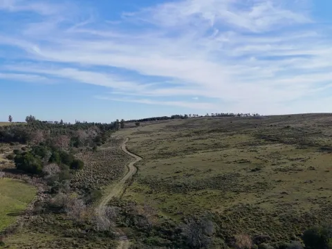 Campo de 36 ha en venta con casa y arroyo, Maldonado Uruguay. — foto 4