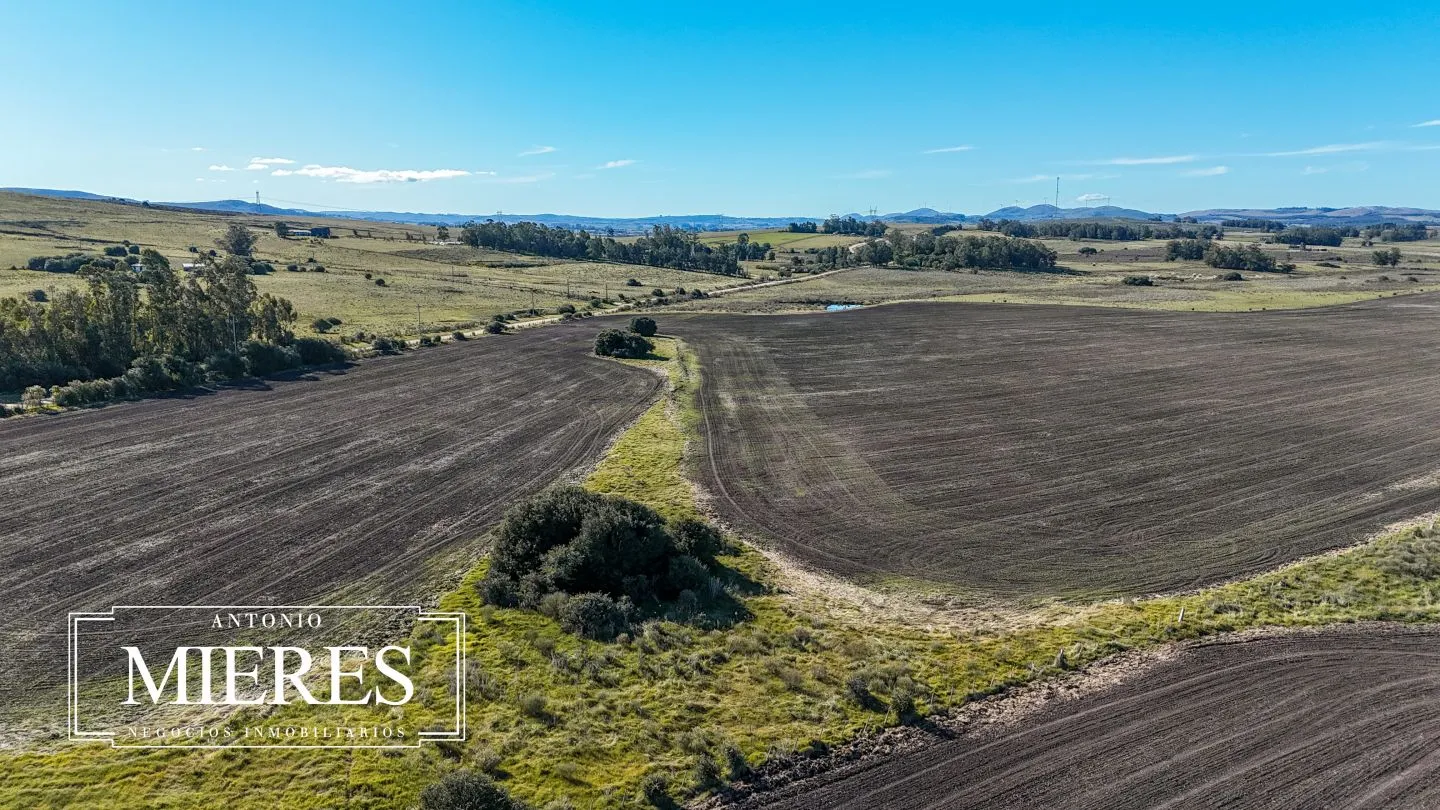 Venta de campo 50 ha en puntas de Laguna del Sauce — foto 22