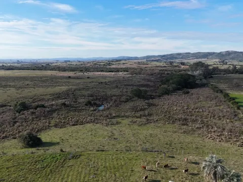 Campo de 36 ha en venta con casa y arroyo, Maldonado Uruguay. — foto 5