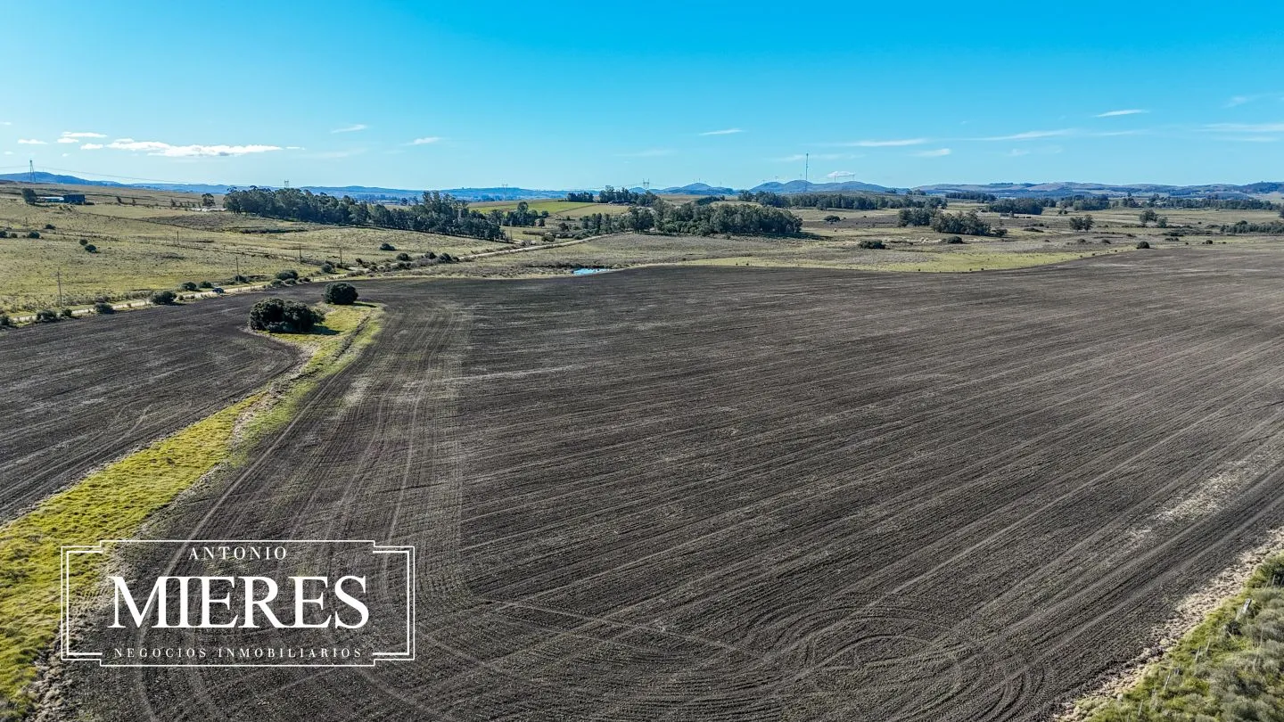 Venta de campo 50 ha en puntas de Laguna del Sauce — foto 23