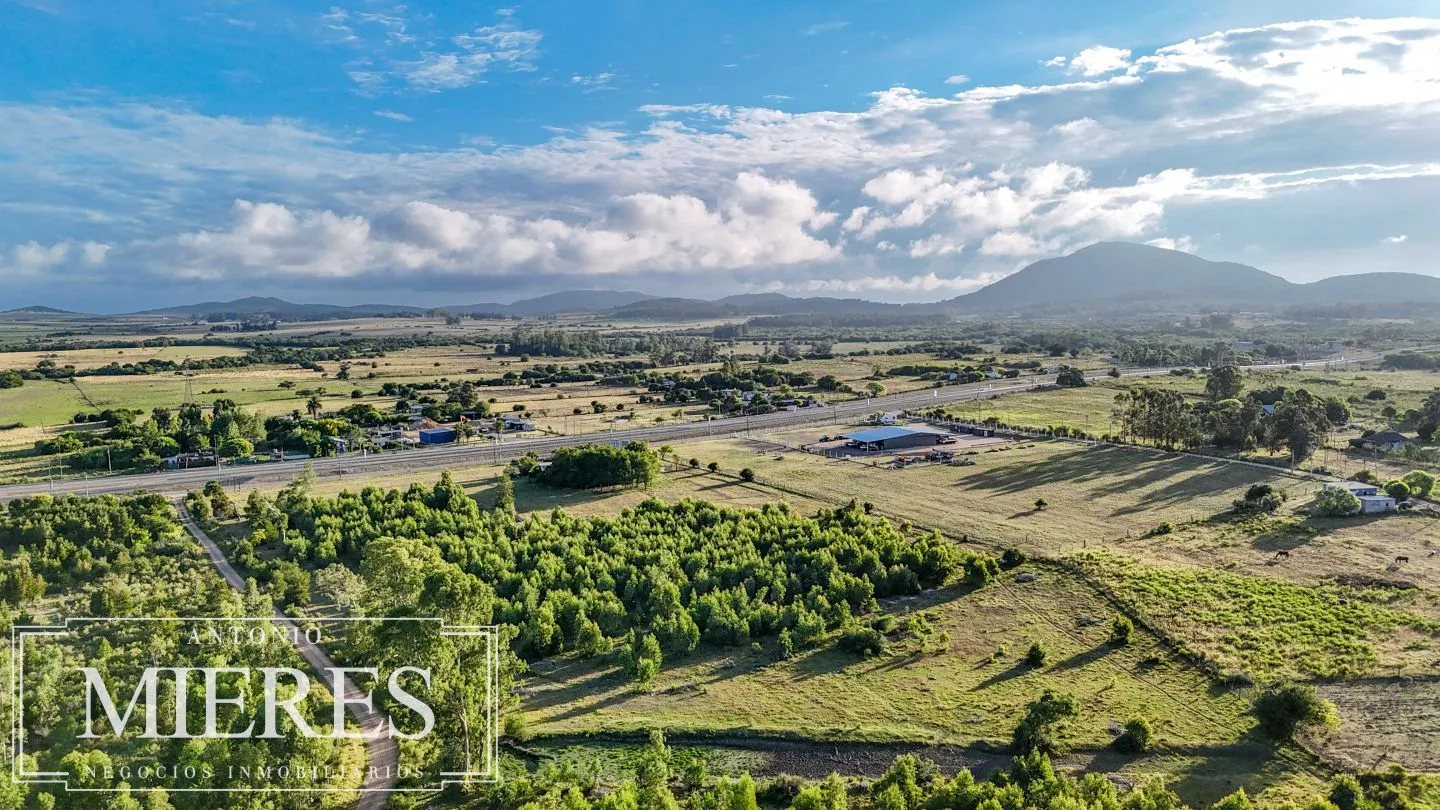 Chacra de 18ha con casa frente a Ruta 9 Pan de Azucar — foto 14