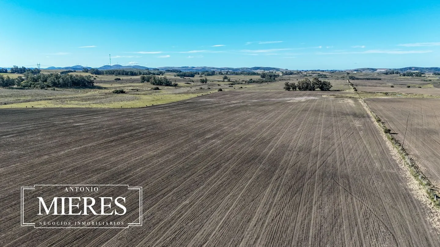Venta de campo 50 ha en puntas de Laguna del Sauce — foto 24