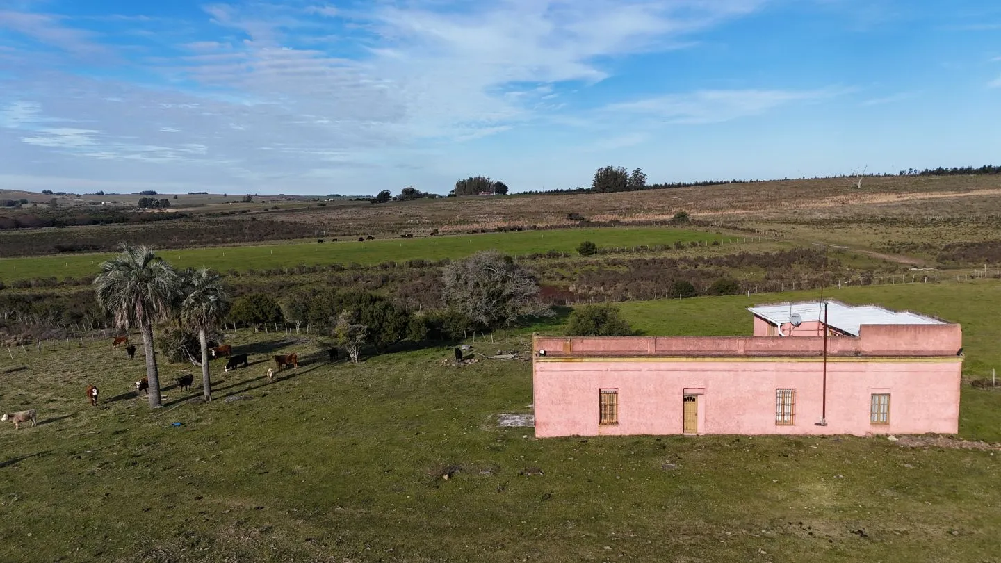 Campo de 36 ha en venta con casa y arroyo, Maldonado Uruguay. — foto 6