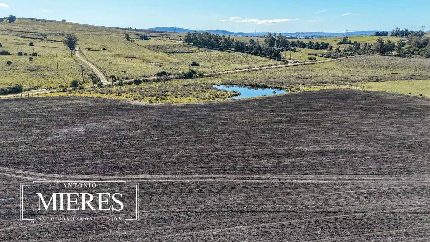 Venta de campo 50 ha en puntas de Laguna del Sauce — foto 25