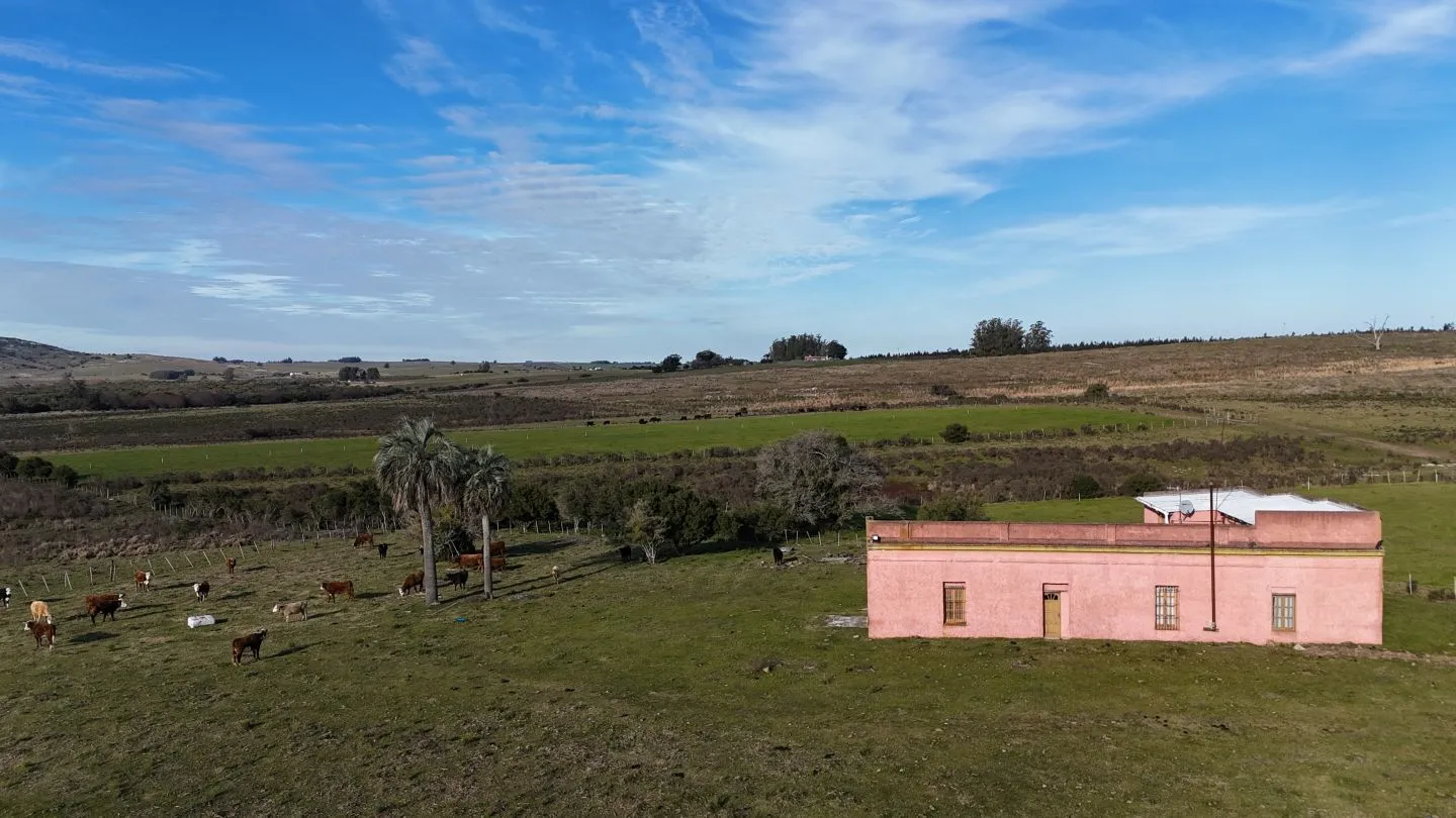 Campo de 36 ha en venta con casa y arroyo, Maldonado Uruguay. — foto 7