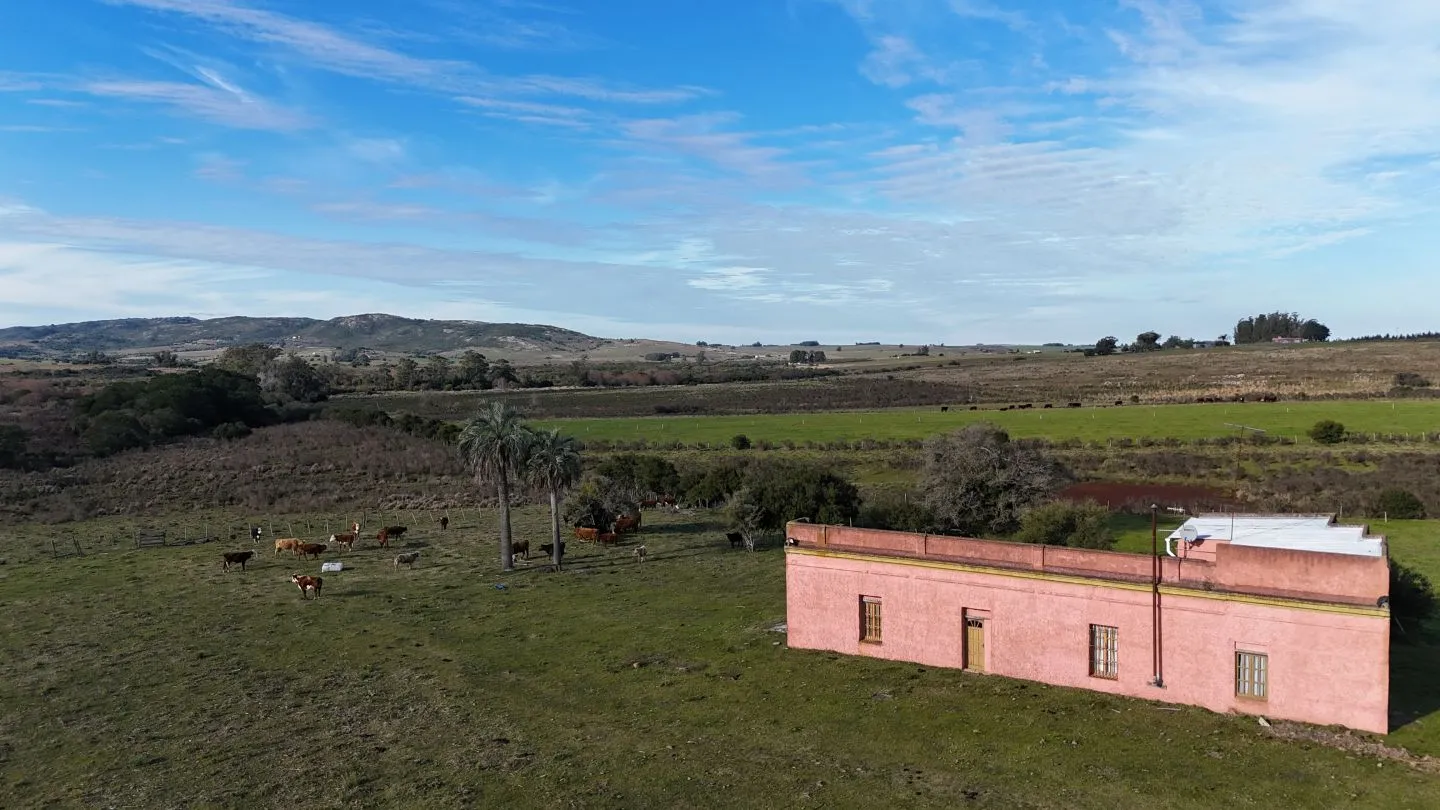 Campo de 36 ha en venta con casa y arroyo, Maldonado Uruguay. — foto 8
