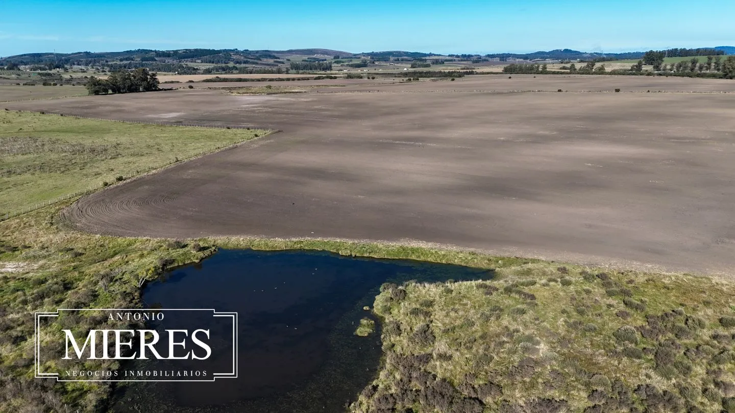 Venta de campo 50 ha en puntas de Laguna del Sauce — foto 26