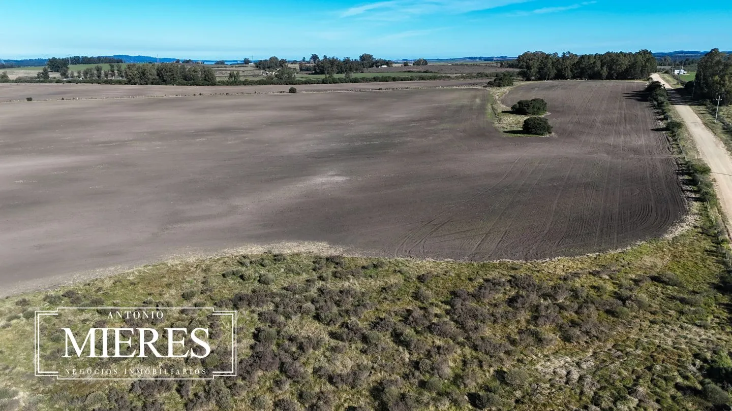 Venta de campo 50 ha en puntas de Laguna del Sauce — foto 27