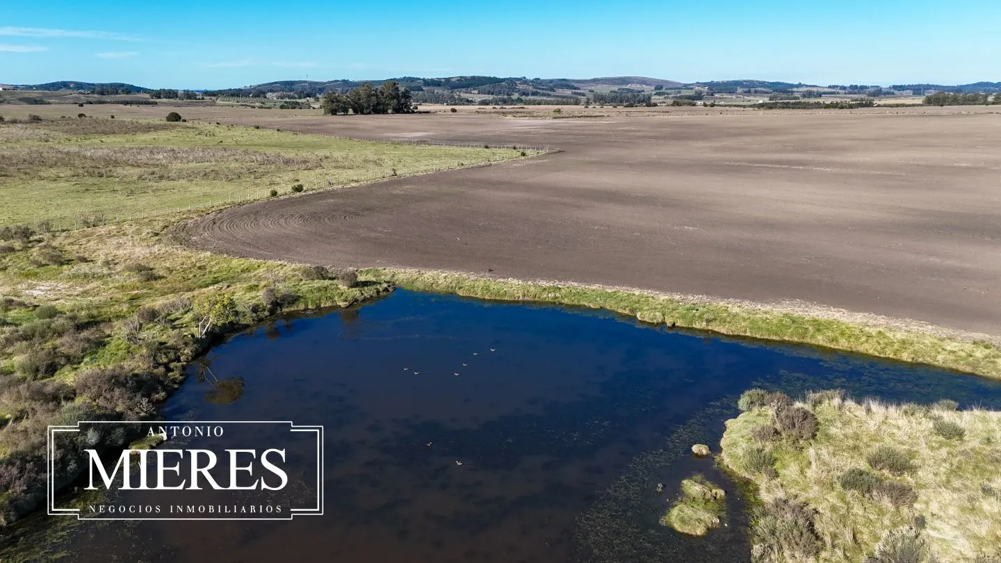 Venta de campo 50 ha en puntas de Laguna del Sauce — foto 28