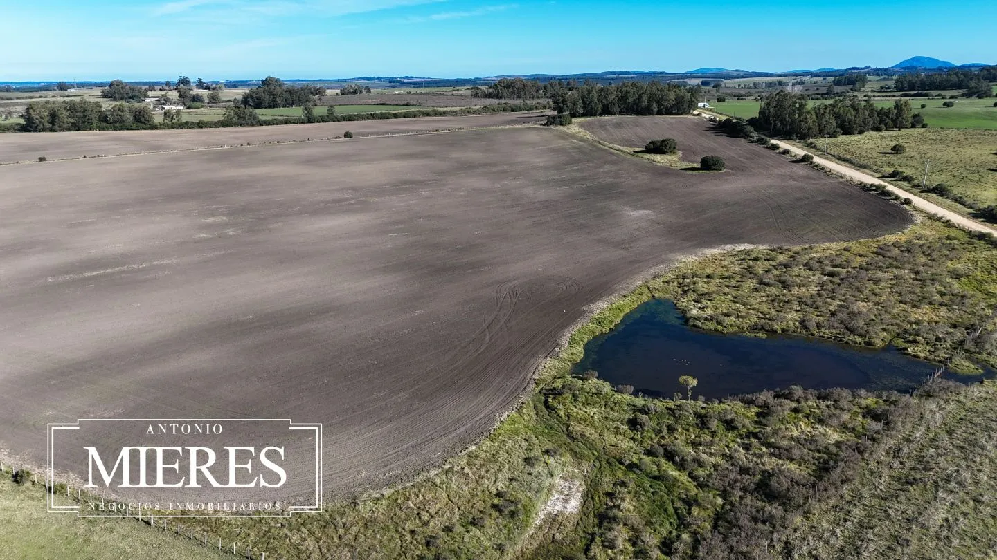 Venta de campo 50 ha en puntas de Laguna del Sauce — foto 29