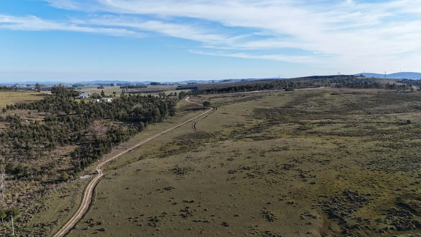 Campo de 36 ha en venta con casa y arroyo, Maldonado Uruguay. — foto 12
