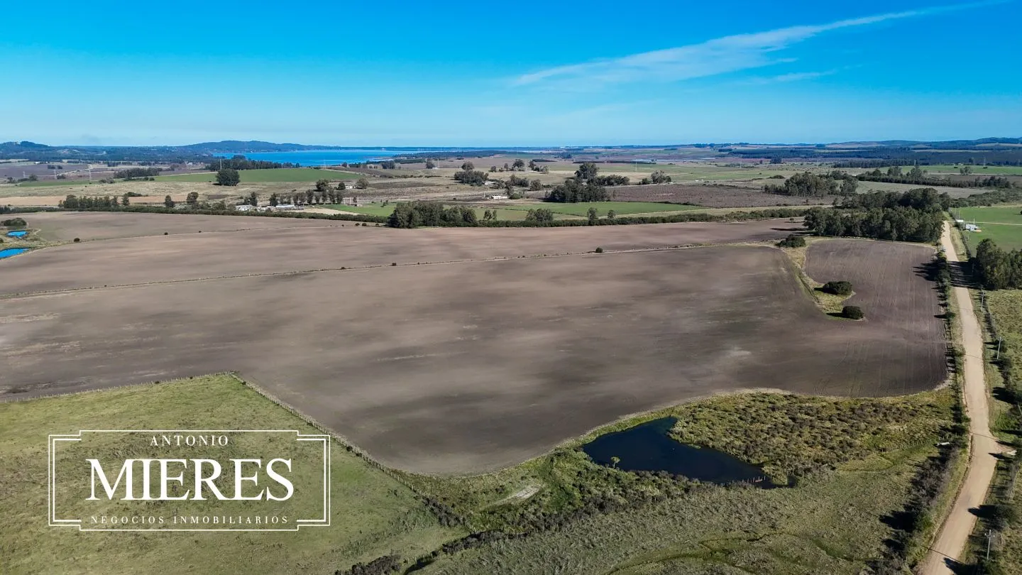 Venta de campo 50 ha en puntas de Laguna del Sauce — foto 30