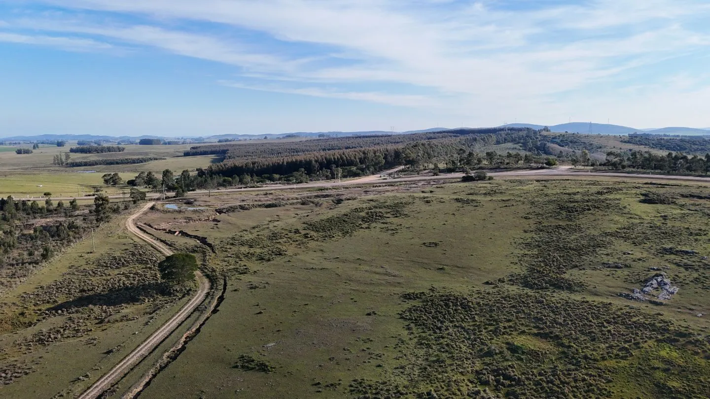 Campo de 36 ha en venta con casa y arroyo, Maldonado Uruguay. — foto 13