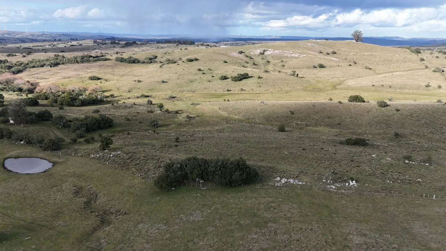 Chacra de 10ha en las sierras de Maldonado — foto 2