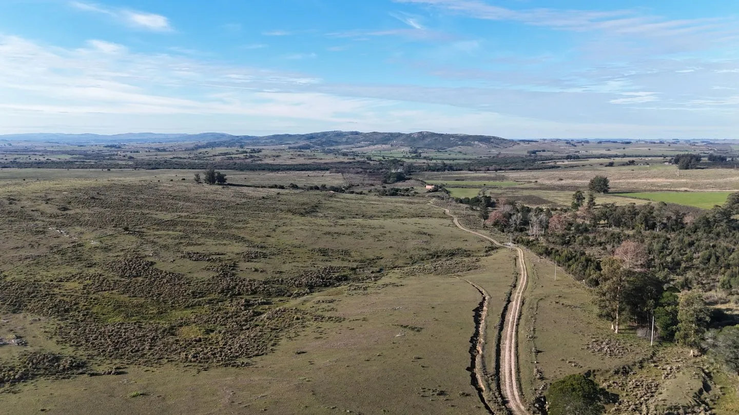 Campo de 36 ha en venta con casa y arroyo, Maldonado Uruguay. — foto 14