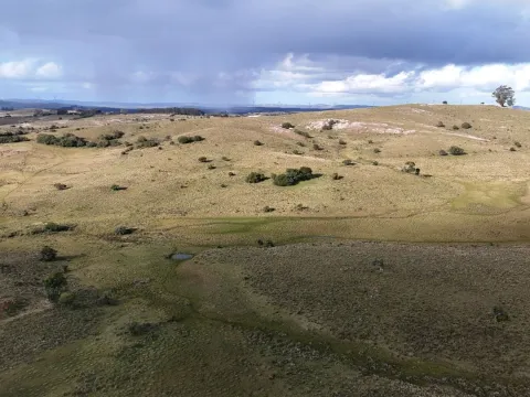 Chacra de 10ha en las sierras de Maldonado — foto 3
