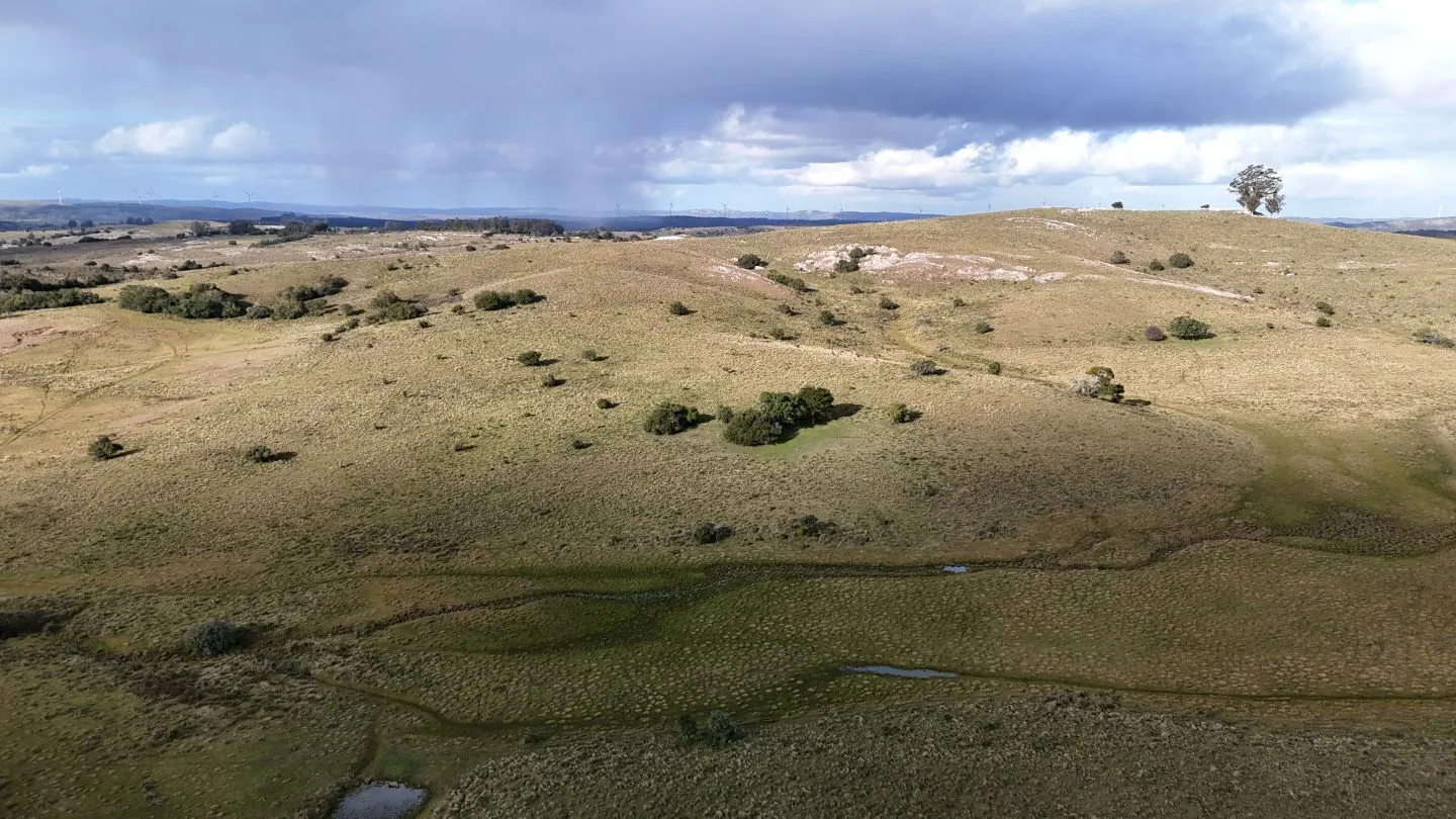 Chacra de 10ha en las sierras de Maldonado — foto 4
