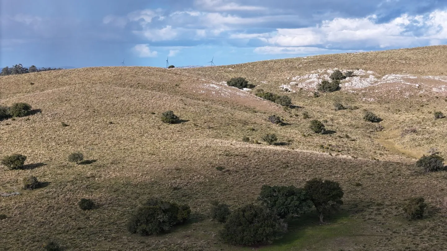Chacra de 10ha en las sierras de Maldonado — foto 5