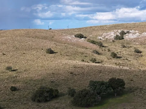 Chacra de 10ha en las sierras de Maldonado — foto 5