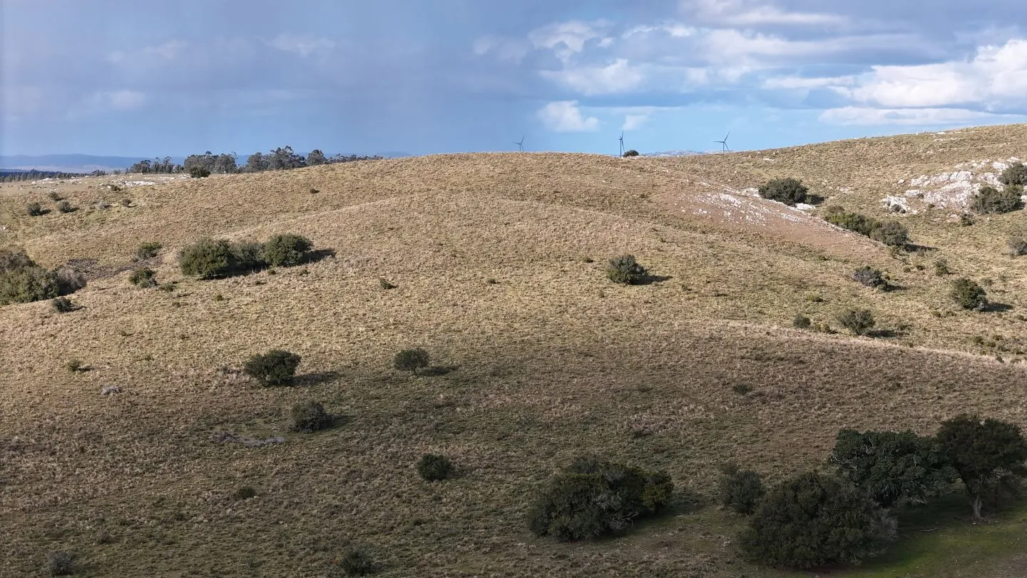 Chacra de 10ha en las sierras de Maldonado — foto 6